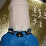 Washington-DC-who-wheres-the-paints-in-the-family-bachelorette-cake